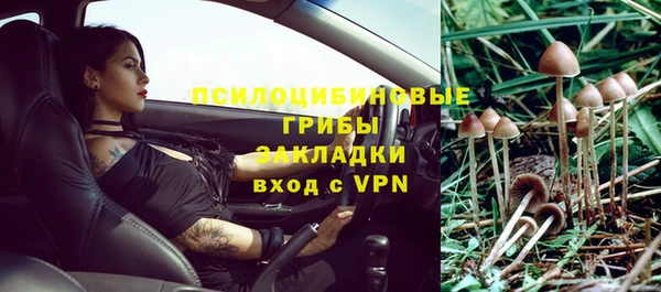 ГАЛЛЮЦИНОГЕННЫЕ ГРИБЫ Киренск