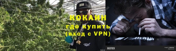 ГАЛЛЮЦИНОГЕННЫЕ ГРИБЫ Киренск